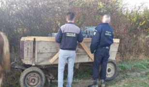 Urmărire cu focuri de armă între o căruță și polițiștii de frontieră
