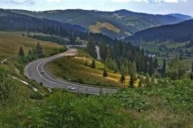 Poliţiştii vor acţiona pentru protejarea pădurilor