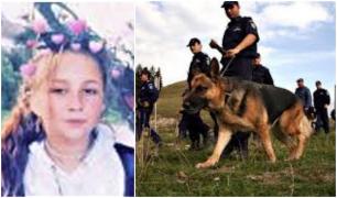 Fetiţă de 13 ani dispărută fără urmă, la Sibiu. Familia şi poliţiştii cer ajutorul populaţiei