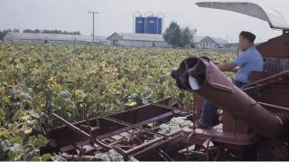 Românul de 34 de ani este acuzat de sclavie modernă