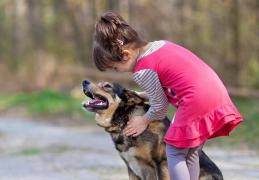 Fetiţă de doi ani, muşcată de faţă de câinele familiei, în timp ce se jucau, la Botoşani