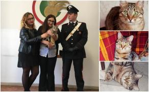 Tigruţ, pisica pierdută de o româncă, în Italia, recuperată de carabinieri de la o femeie care îi cerea 1.000 de euro