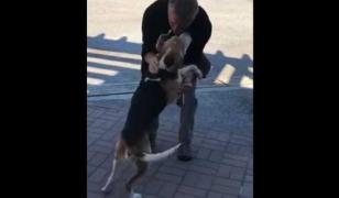 Şofer român cu maşina defectă în Germania, cere ajutor ca să ajungă acasă: "Am un câine, vine cu mine!"