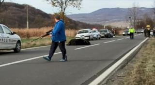 Cad capete după cazul cu ursul ucis în stradă