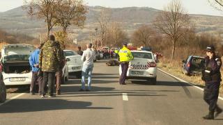 Poliţiştii au deschis dosar penal in cazul ursului lovit de maşină, la Harghita