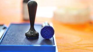 Alegeri prezidențiale 2019, turul II. A doua zi de vot în străinătate