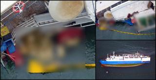 O navă cu aproape 15 mii de oi la bord s-a scufundat în portul Midia, mii de animale au murit