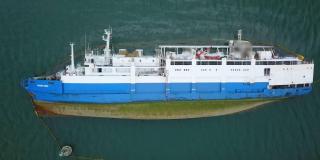 Mii de animale au murit în urma accidentului naval din Portul Midia