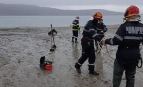 Calul se afundase aproape complet în noroi