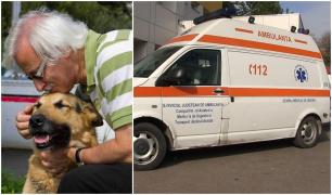 Câinele loial şi-a dat viaţa pentru stâpânul său, la Suceava