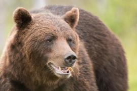 Bărbatul, în stare gravă la spitalul din Miercurea Ciuc