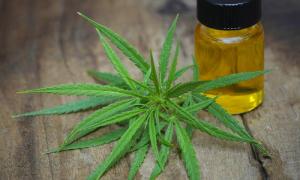 Informatiile pe care trebuie sa le cunosti despre uleiul de canabis!