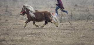 Doi dintre cei patru români au rămas în arest preventiv