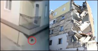 Momentul în care o pisică din Albania simte că va urma un cutremur major
