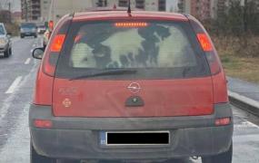 Șoferiță de Opel Corsa, surprinsă cu un vițel în portbagaj, la Timișoara