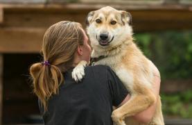 O tânără şi-a pus capăt vieţii, după ce părinţii i-au spus să renunţe la căţelul său, sau să plece din casă