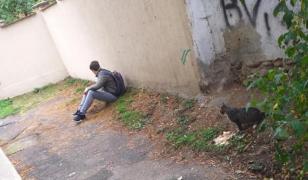 Elev bătut la Tg Jiu