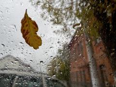 Vremea 4 - 17 noiembrie 2019