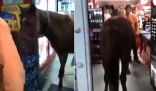 Cal filmat într-un supermarket din Buzău