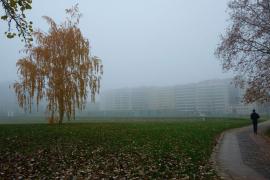 Bărbat la plimbare în parc