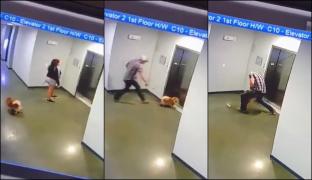 Căţelul nu a mai apucat să intre în lift, pentru că uşile s-au închis foarte repede