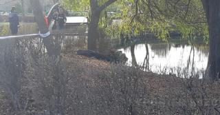 Băiatul scos mort din lacul Marghiloman este lovit la cap