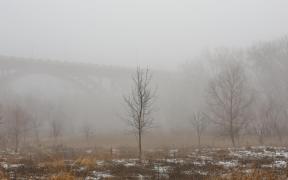 Vreme rece și mohorâtă în următoarele două zile, anunță meteorologii