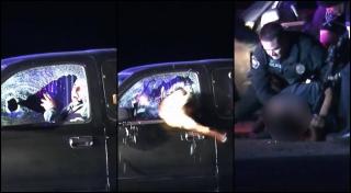 Un câine ofițer a zburat prin geamul unei mașini, pentru a prinde un șofer fugar