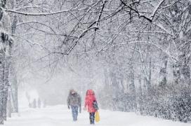 Cod galben de ninsori în 17 judeţe