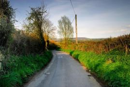 Doi fraţi şi-au pus capăt zilelor împreună într-o pădure din oraşul Kent