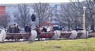 Două eleve s-au călcat în picioare într-un parc din Constanţa. Şi-au cărat pumni în timp ce colegii le încurajau şi filmau (Video)