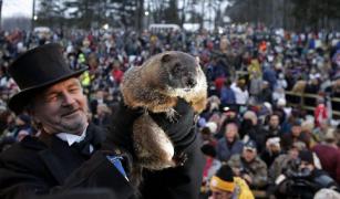 Ziua cârtiţei 2019