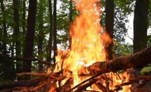 Incendiu la biserica din Căpruţa, judeţul Arad