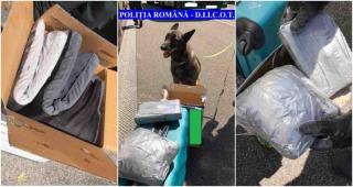 Captură record de droguri