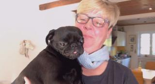 Cățelușa Edda, confiscată de autoritățile din Alhen