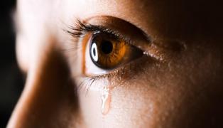 Zodii care plâng din orice