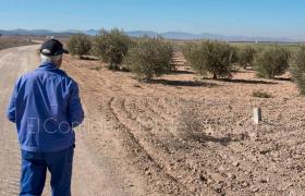 Bărbat privește către livada în care a fost abandonată victima românului