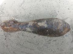 Bombă de aruncător găsită la fier vechi, în Botoşani. Muniţia putea exploda la șocuri mecanice