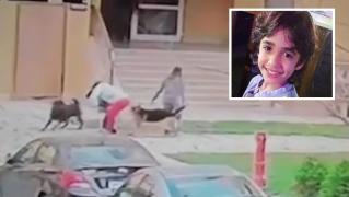 Femeia apără copilul în fața câinilor