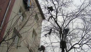 Soţul i-a aruncat nevestei toate hainele pe geam, la Timişoara. Femeia a chemat pompierii să i le dea jos din copaci