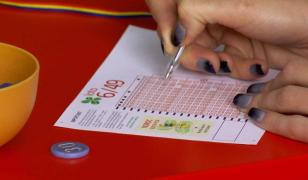 Extragere loto 14 martie