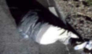 Sătul de singurătate, un bătrân din Vaslui s-a aşezat pe asfalt ca să-l calce maşinile. "Lăsaţi-mă să mor!"