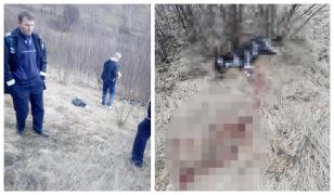 Patru câini ucişi pe câmp