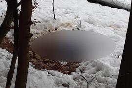 A fost identificat bărbatul găsit decapitat la Barajul Firiza, în Baia Mare