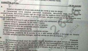 Subiecte Simulare Bac 2019 Biologie. Ce a picat la clasa 12