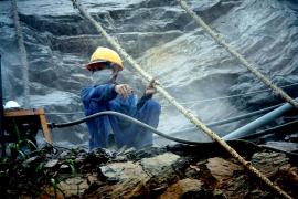 România are o nouă mare problemă. Personalul vietnamez – o soluție?