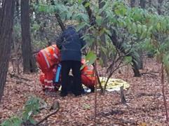 Tânăr de 19 ani, găsit spânzurat în pădurea Pecica din Arad