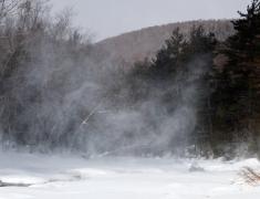 Vreme severă în 15 judeţe. Este cod galben de vijelii şi viscol, până la ora 20.00