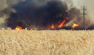 Incendiu de vegetaţie la Boldeşti, Prahova