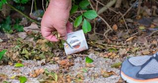 Şofer român de TIR arestat în Olanda